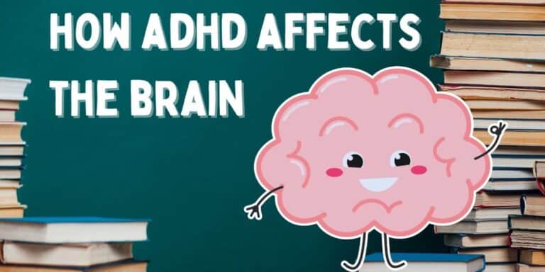 How ADHD Affects the Brain: Structure, Function & Neurodevelopment
