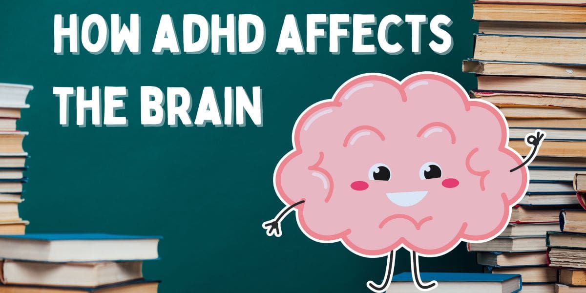 How ADHD Affects the Brain: What Science Tells Us