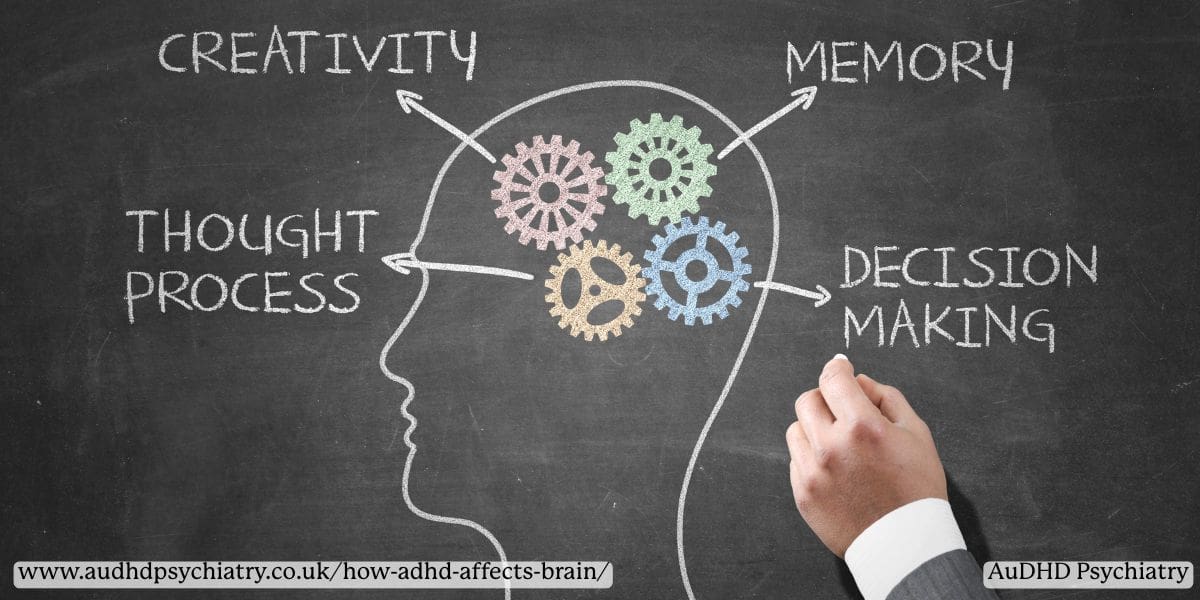 ADHD Daily Brain Function Executive Skill Graphic v2