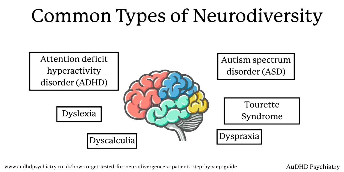 graphic showing common types of neurodiversity